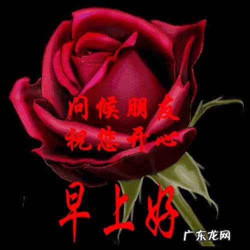 别人给你发:早上好,怎么幽默回复?