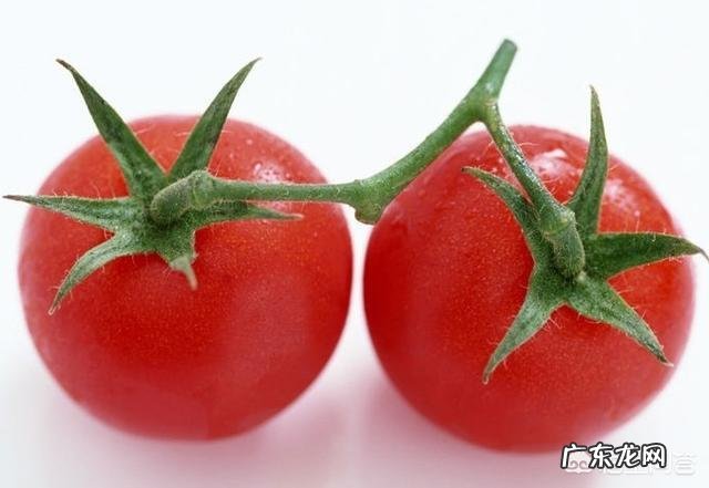 西红柿真的有美容功效吗?