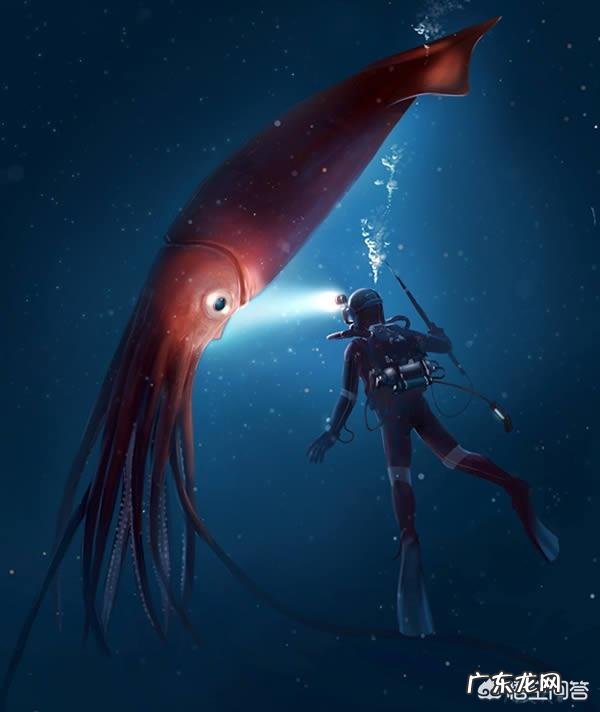 大王乌贼能吃掉巨齿鲨吗?