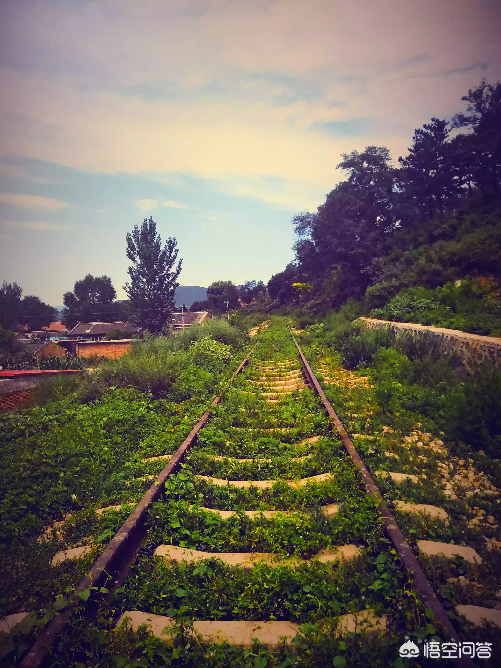 该怎样去爱护环境?