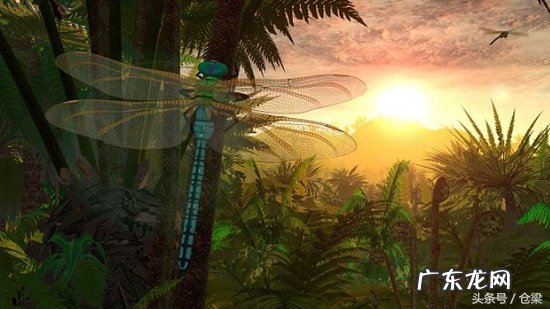 空气中氧气含量一般为多少