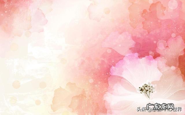 请问情感领域创作者,“人不是美才觉得可爱、而是可爱才觉得美”,求解其内涵?