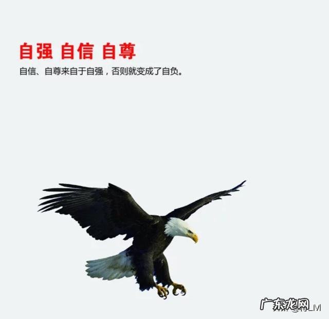 性格内向、不爱说话、胆小且怕和陌生人接触,该怎么办?