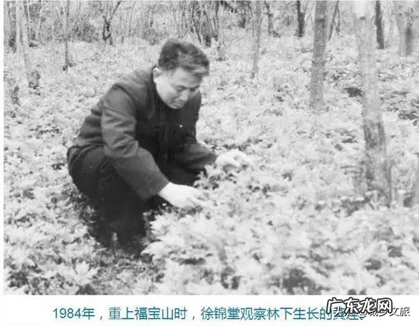 我国传统节日重阳节为什么不说节日快乐?