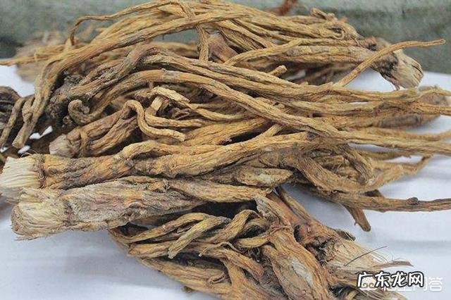 秦艽是一种中药材,它有啥用途?如何种植?