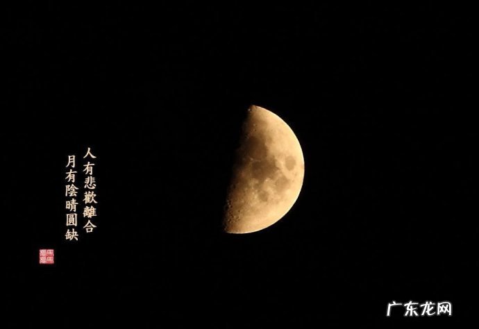 有哪些蕴含哲理的古诗？