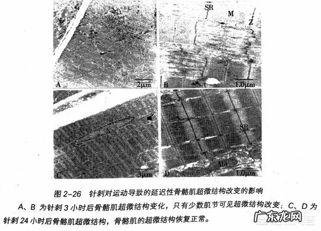 为什么健身之前能做6个引体向上,开始健身一个星期之后却一个也做不了了呢?