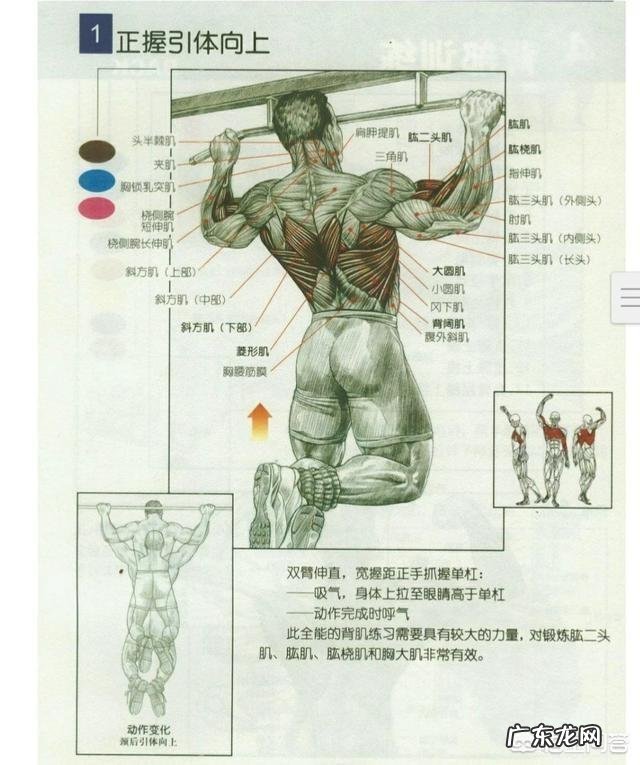 为什么健身之前能做6个引体向上,开始健身一个星期之后却一个也做不了了呢?