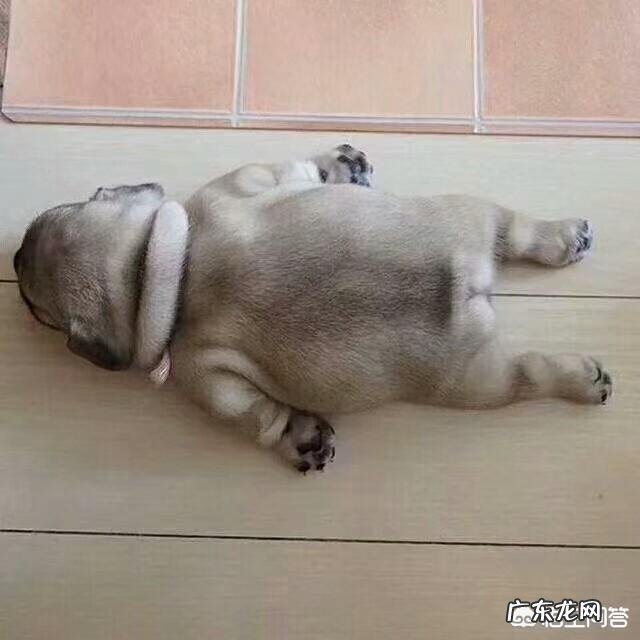 椰子500碳黑,配什么裤子好看?