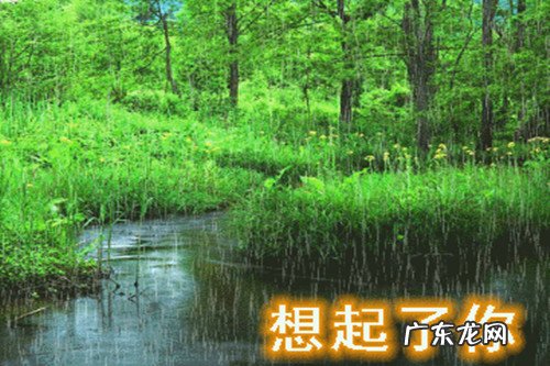 你会怎样写三行情诗,优雅的表达对一个人的思念?