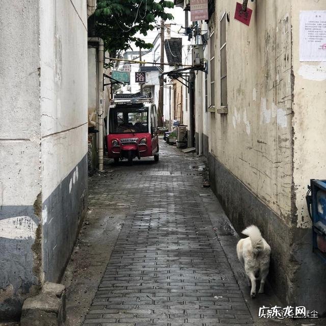 你是选择平凡的生活还是不平凡的生活?