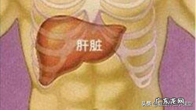 食道癌转肝癌晚期还能活多久?