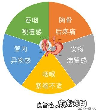 食道癌转肝癌晚期还能活多久？