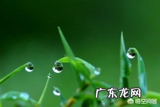 如果一个女孩活得像个男人,是因为什么?