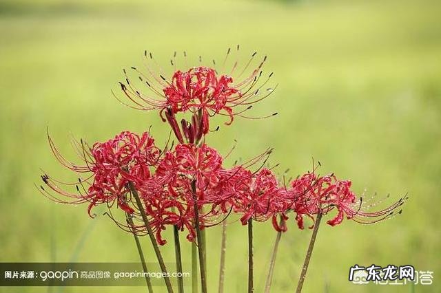 如果一个女孩活得像个男人,是因为什么?