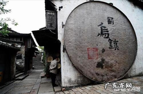 为什么世界互联网大会在乌镇召开?