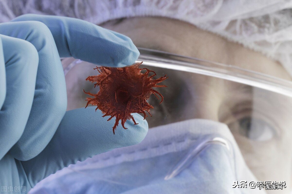 怀孕前要检查什么项目 怀孕前检查什么项目