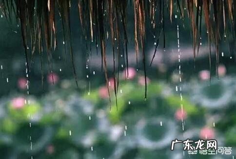 夏至到了，农村俗语“夏至雷响，打破梅娘”是什么意思？有道理吗？