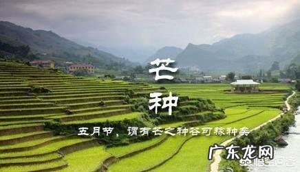 夏至到了,农村俗语“夏至雷响,打破梅娘”是什么意思?有道理吗?