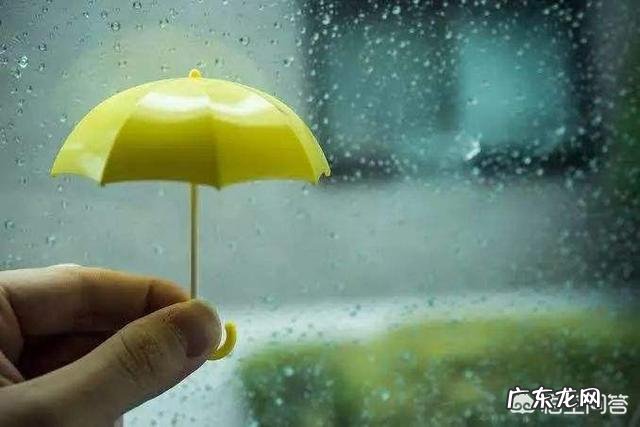 夏至到了,农村俗语“夏至雷响,打破梅娘”是什么意思?有道理吗?