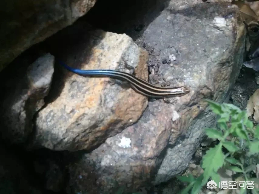 一生有很多次难忘的旅行经历,你有什么经历愿意和大家分享?