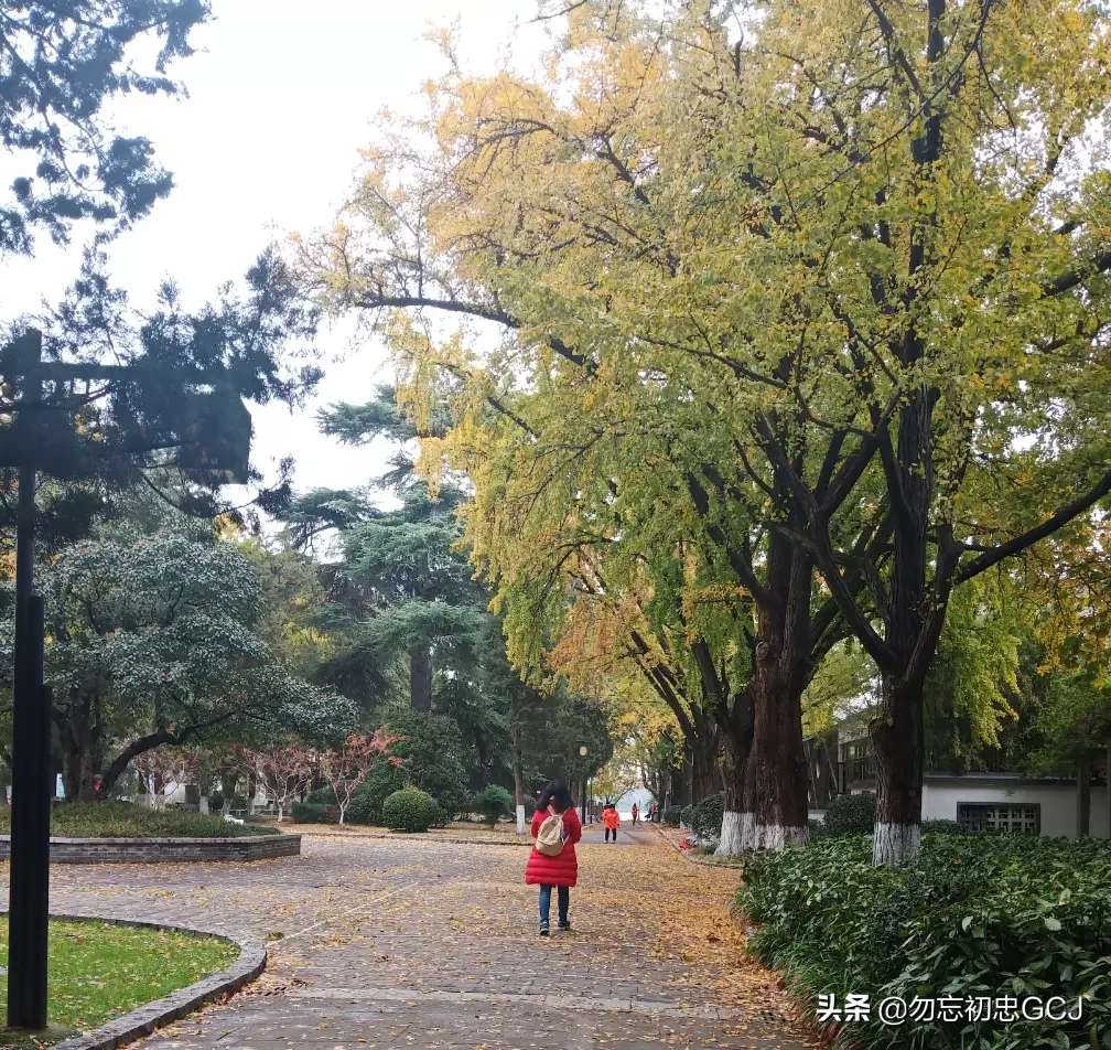 一生有很多次难忘的旅行经历,你有什么经历愿意和大家分享?