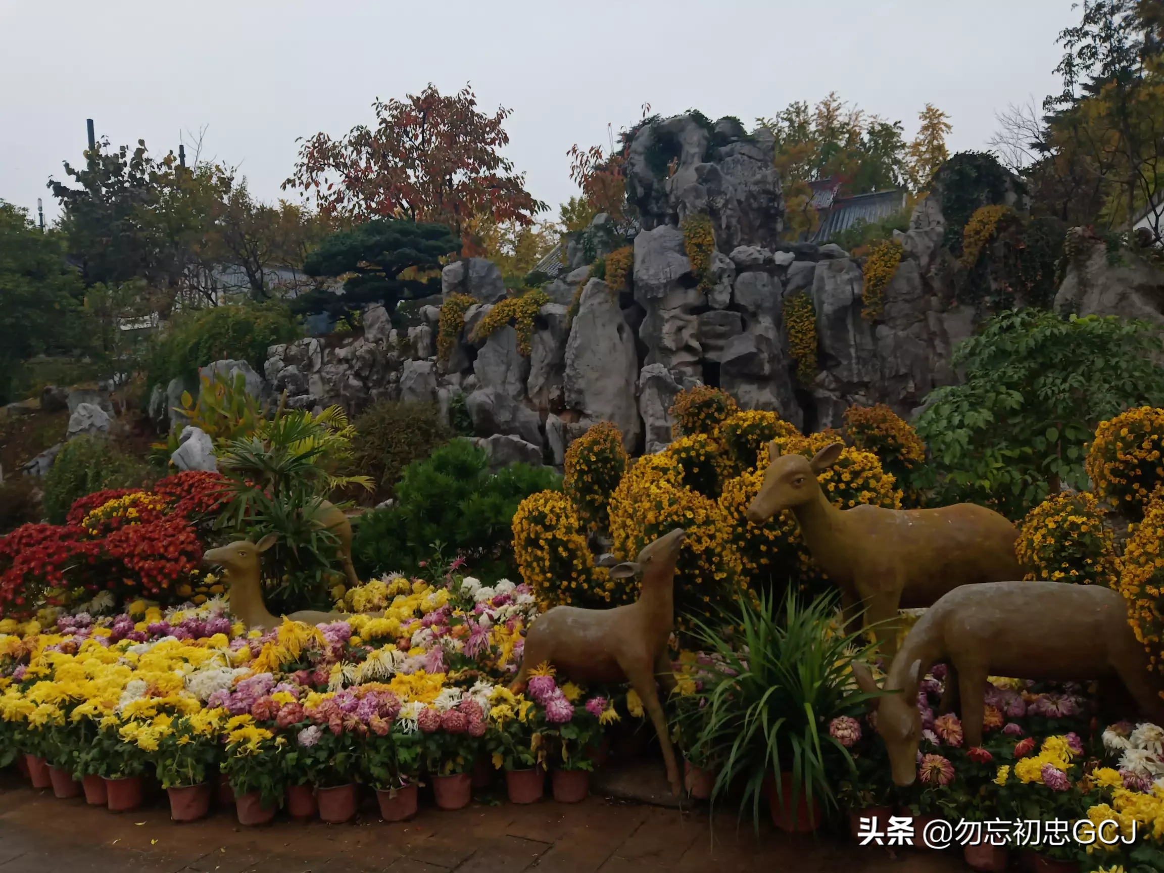 一生有很多次难忘的旅行经历,你有什么经历愿意和大家分享?