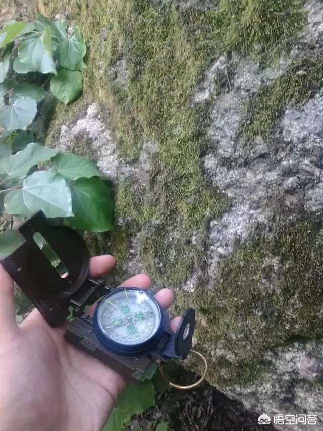 一生有很多次难忘的旅行经历,你有什么经历愿意和大家分享?