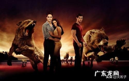 最大的狼有多大?在哪里?