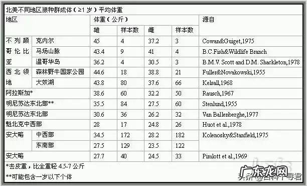 最大的狼有多大?在哪里?
