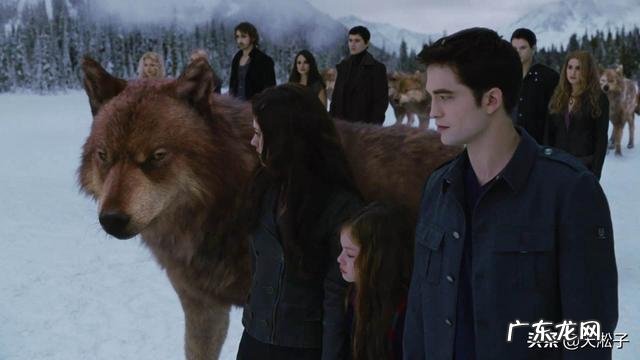 最大的狼有多大?在哪里?