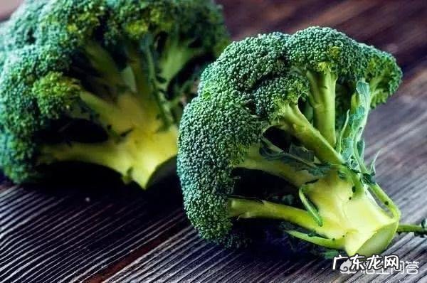 多吃西兰花对身体有哪些好处?