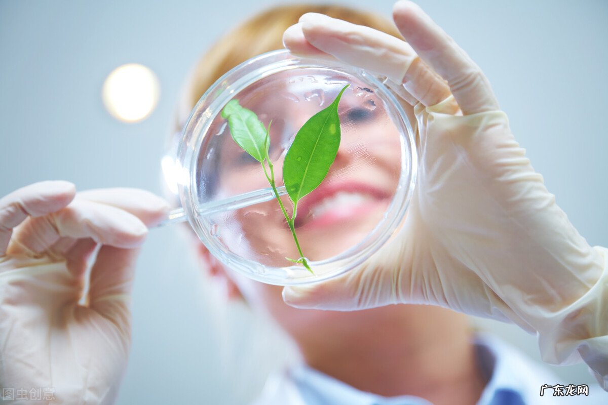 学好高中生物的方法