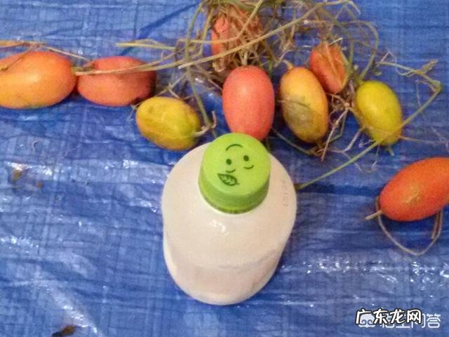 佛手瓜适合怎么吃?