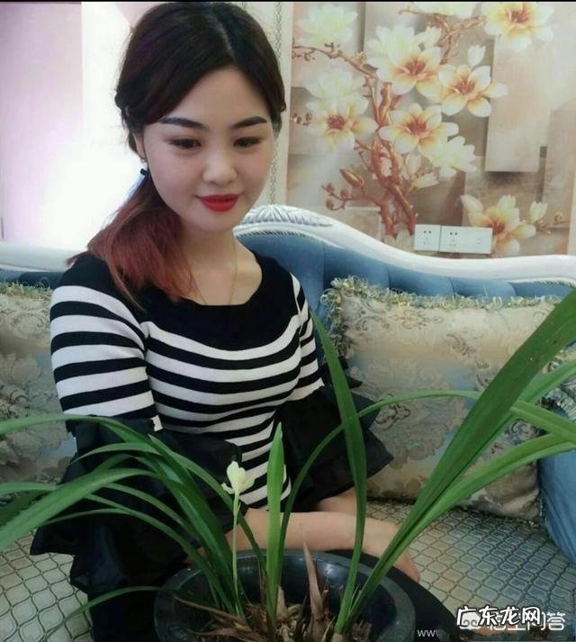 兰花怎么养才能不黄叶？