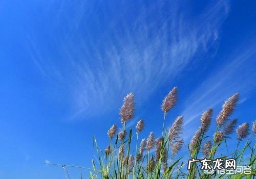 秋高气爽是什么原理，怎么解释？