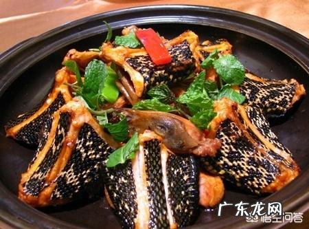 蛇肉,你会吃吗?