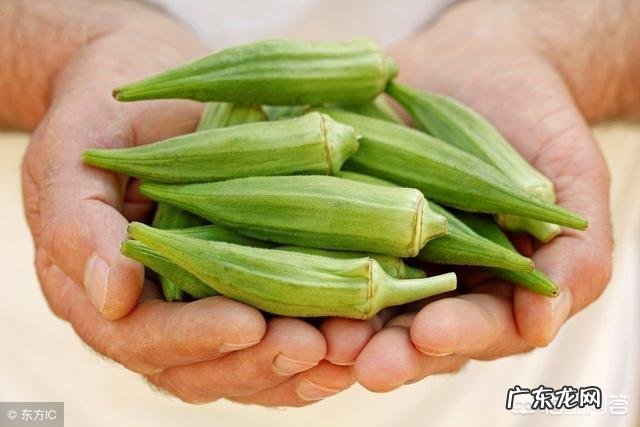 秋葵中黏黏的液体是什么?对人体有什么好处?