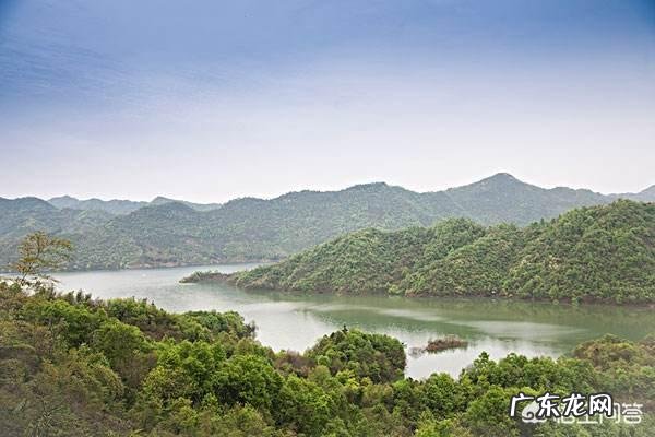 每天都活在自责和后悔中该怎么办?