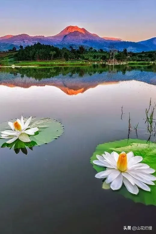 为什么我们长大后,胆子变的小了?