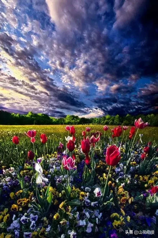 为什么我们长大后,胆子变的小了?