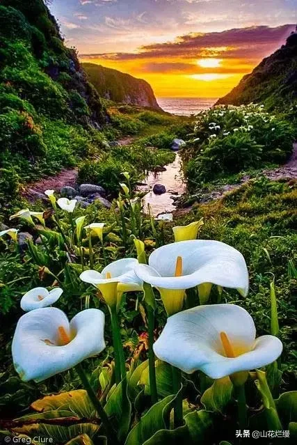 为什么我们长大后,胆子变的小了?