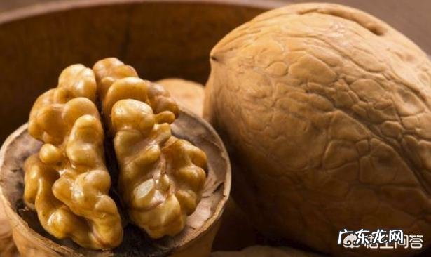 吃核桃真的能补脑吗?