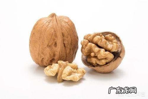 吃核桃真的能补脑吗?