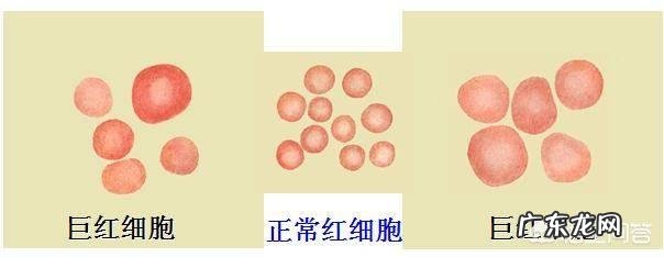 皮肤干燥是因为缺少什么维生素？