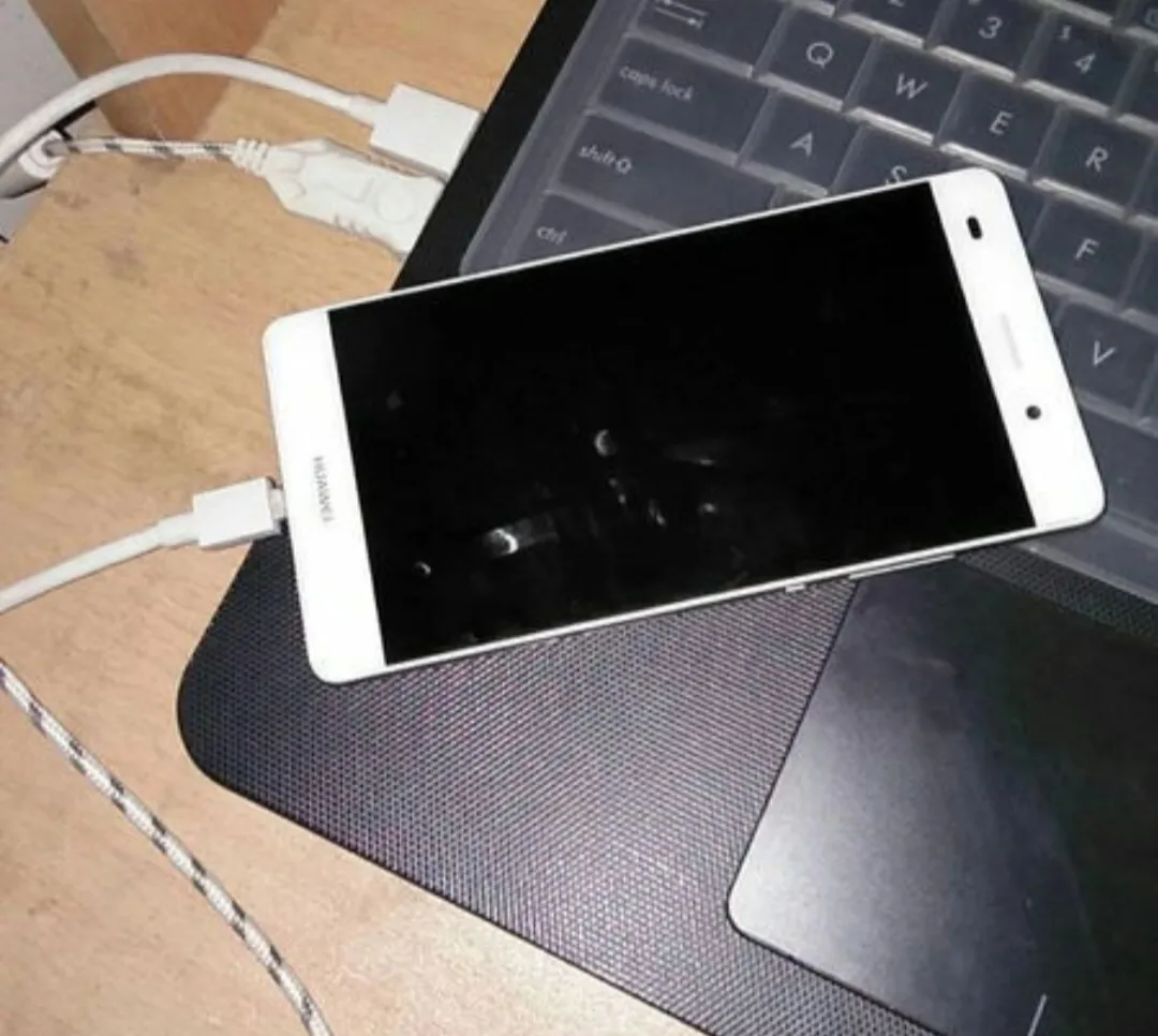 禁黄那么严重,为何网上涉黄app却一样泛滥不止呢?