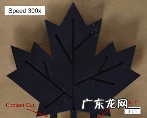 薄荷叶的独特纹理,到底是如何防止霜冻的?