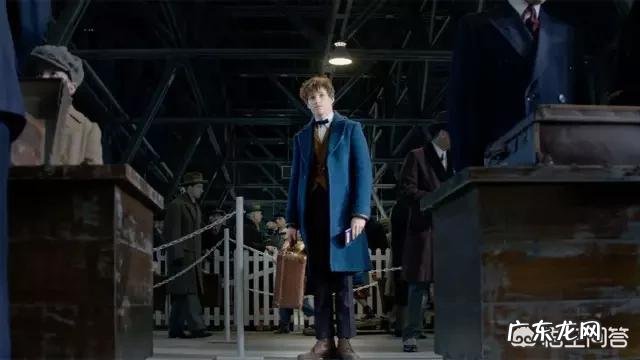 如何评价电影《神奇动物在哪里》?