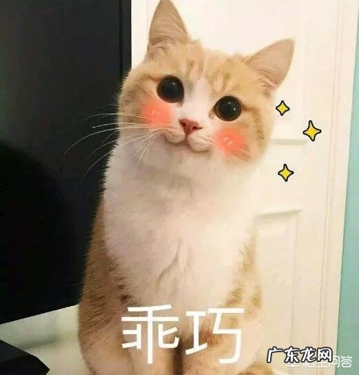 怎么能把吊带裙穿得好看？