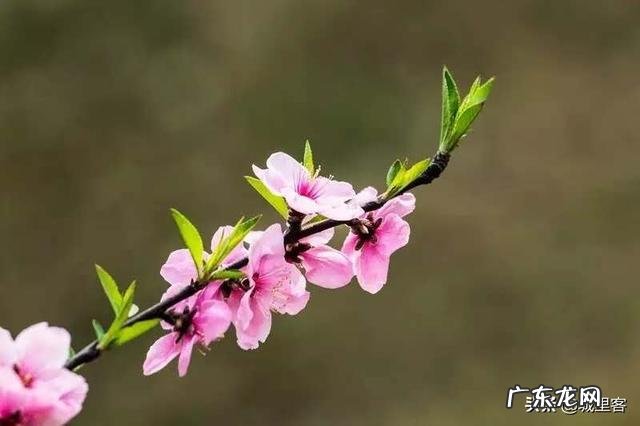 结婚后老婆管钱,老公藏私房钱给自己的父母,被老婆知道了,该怎么办?